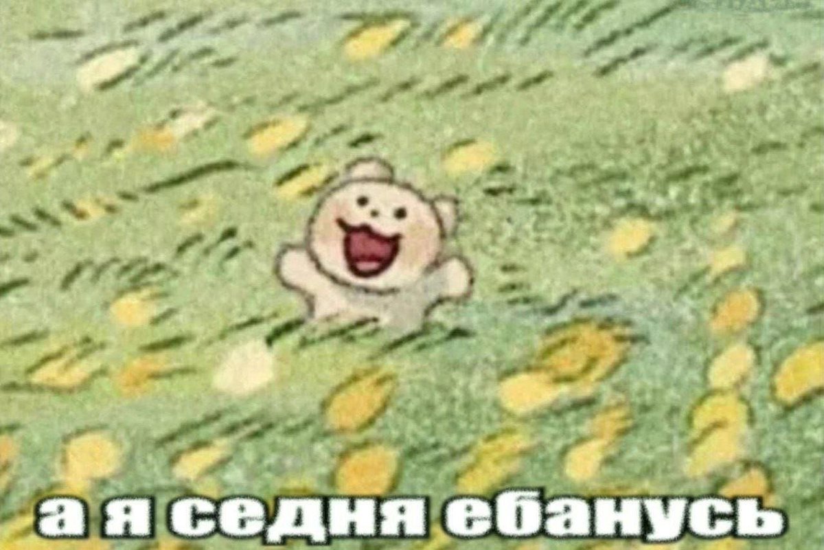 🪻🕊️тунец (пипец) tweet media