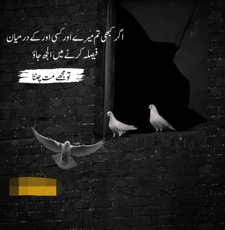 Syeda Zuha tweet media