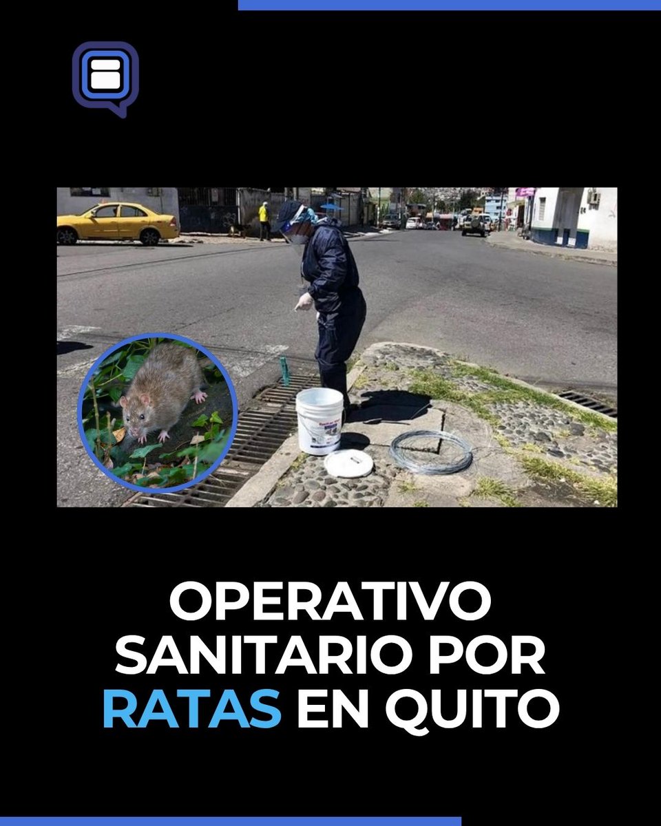 QUITO | Moradores detectaron presencia de roedores en la av. República ...