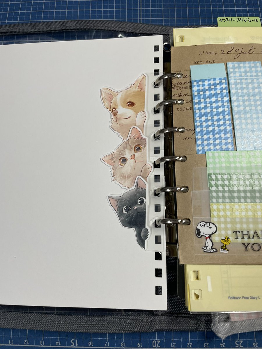 咎狗✁𝑻𝒐𝒈𝒂𝒊𝒏𝒖✃ tweet media