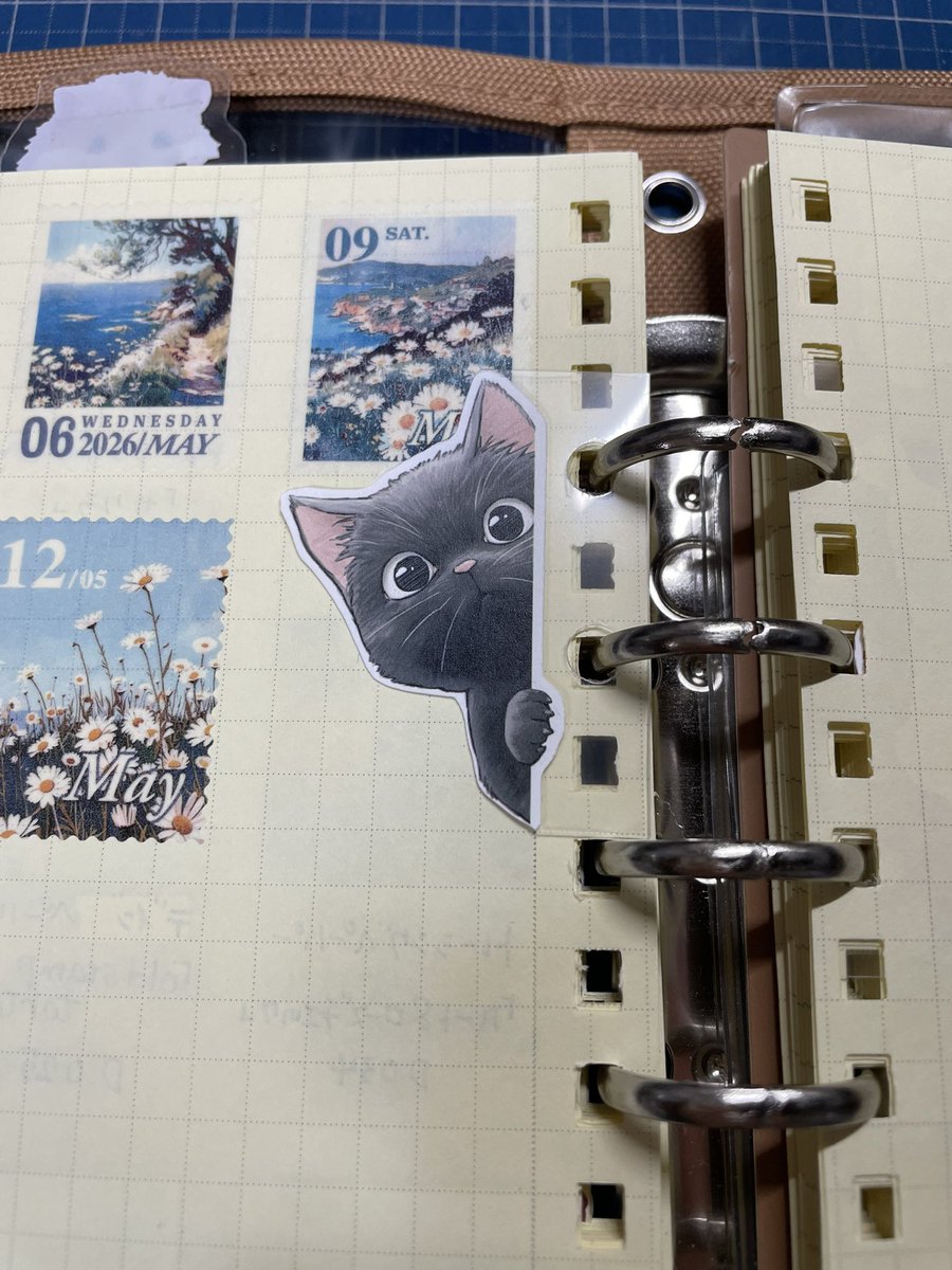 咎狗✁𝑻𝒐𝒈𝒂𝒊𝒏𝒖✃ tweet media
