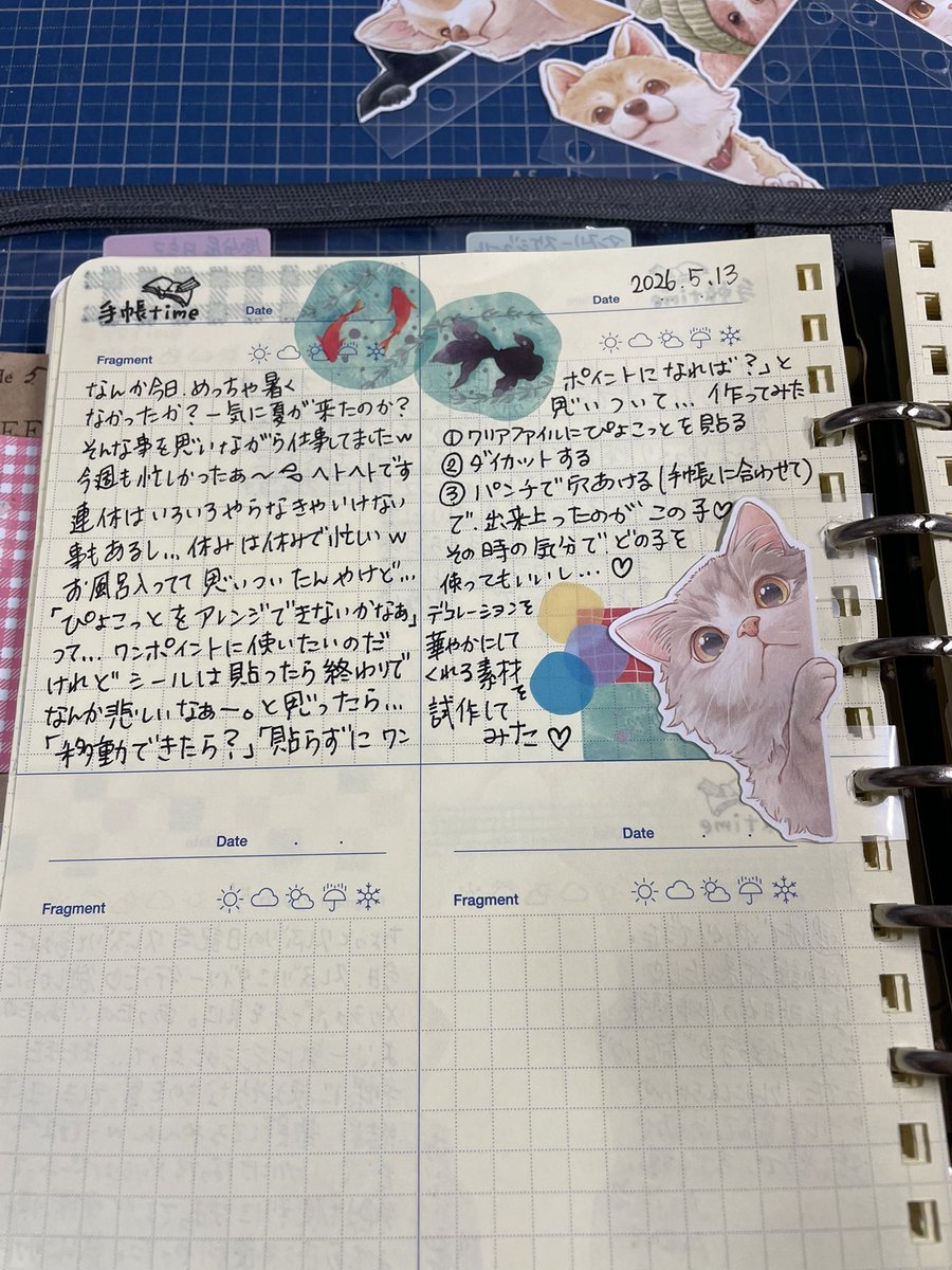 咎狗✁𝑻𝒐𝒈𝒂𝒊𝒏𝒖✃ tweet media