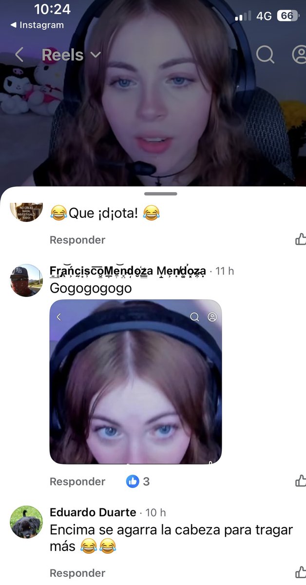 Pipant tweet media