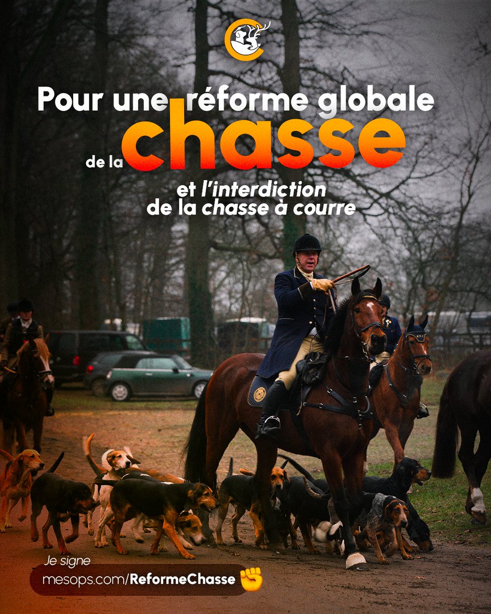 Mobilisation pour la Cause Animale tweet media