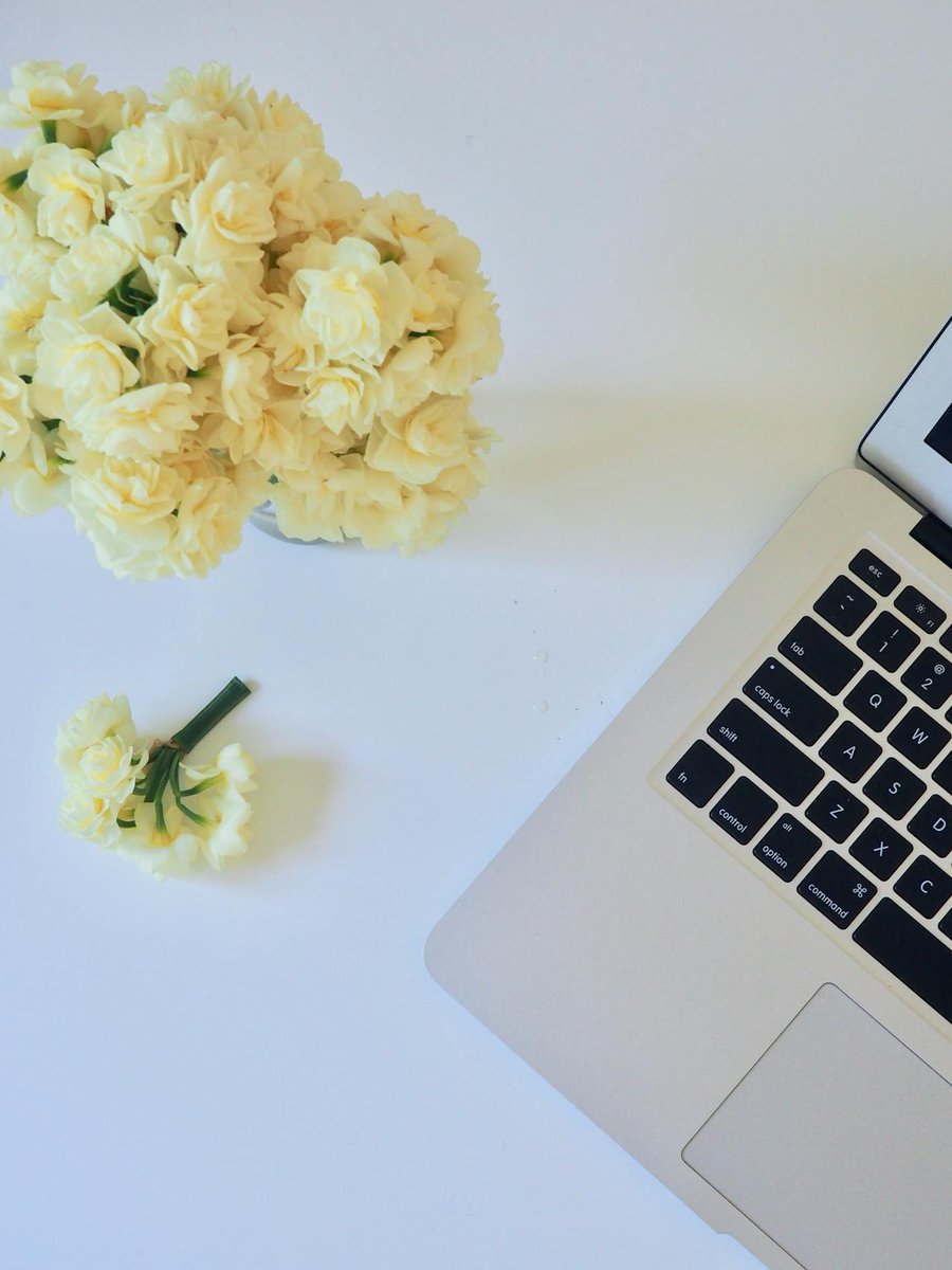 Casey Telford // tweet media