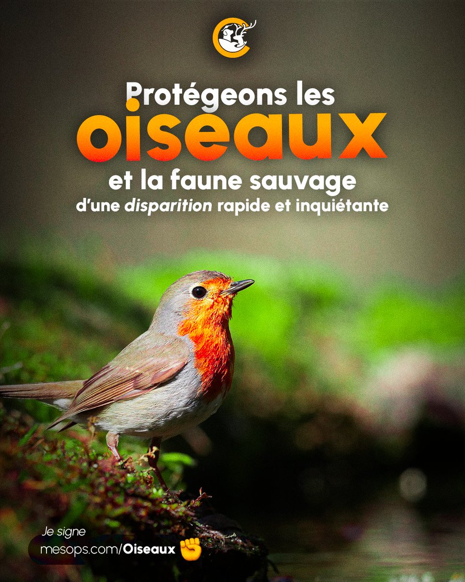 Mobilisation pour la Cause Animale tweet media