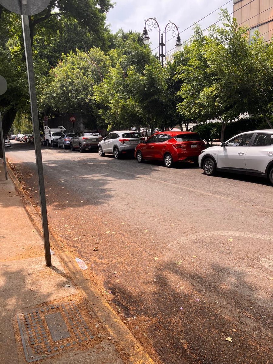 aradiaxP's tweet photo. Buen día @OVIALCDMX @UCS_GCDMX 
Solicitamos el retiro de estos automóviles en mayorazgo de higuera , en el pueblo de Xoco . No están respetando la zona de no estacionarse . 
Solicitamos el patrullaje constante de la policía vial . https://t.co/wdzEby2ce8
