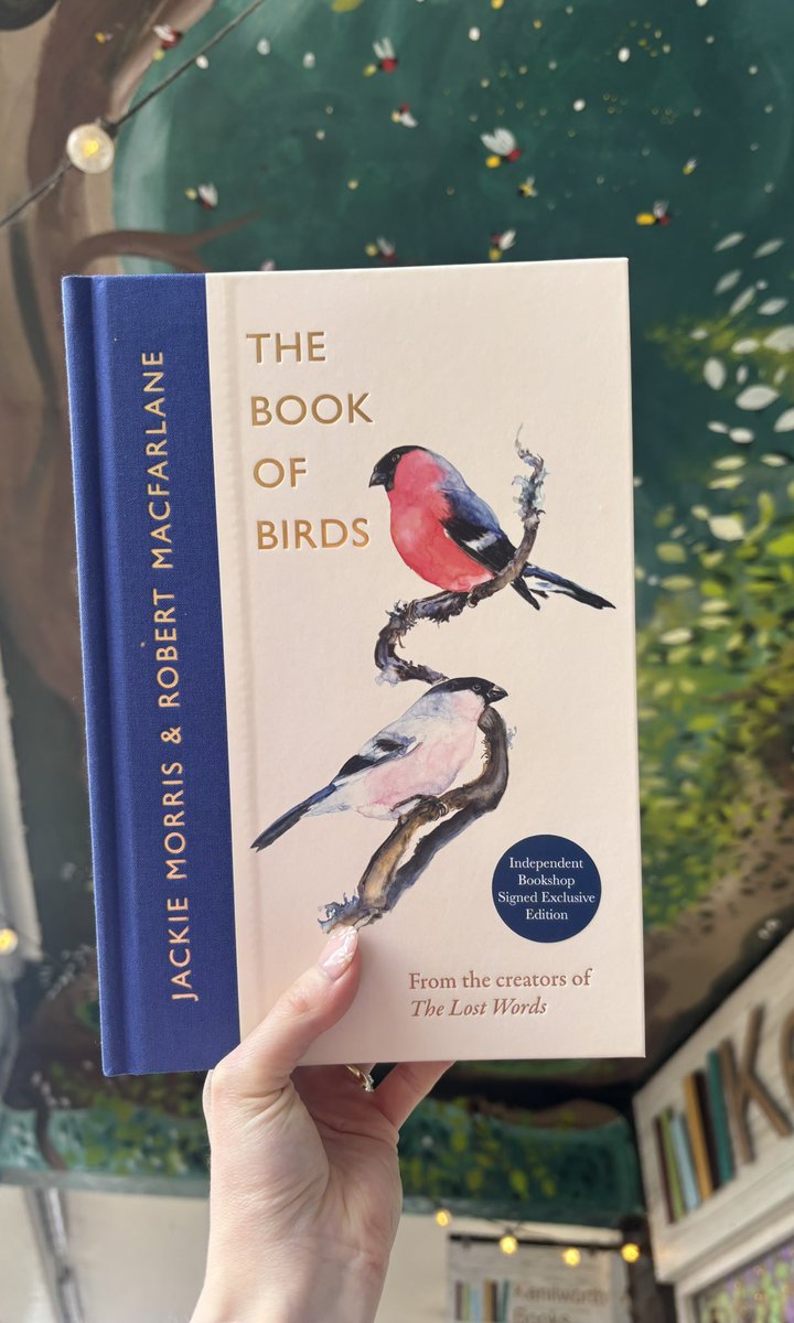 KenilworthBook's tweet photo. More double signed copies of The Book Of Birds by the amazing Jackie Morris &amp; Robert Macfarlane have arrived in after our preorders flew the nest🪺🐦‍⬛🪶

https://t.co/tx3vjoQHVc https://t.co/gDRJSppF7g
