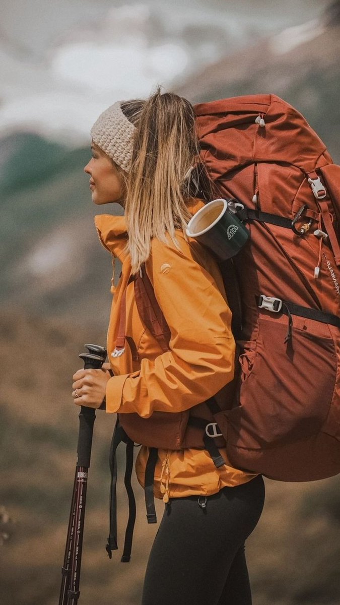 ZeroWild tweet media