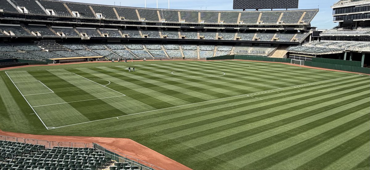 oaklandturf's tweet photo. 4 years going strong @WestCoastTurf OS Bandera Bermuda. From @mlb to @USLChampionship to @MLCricket, amazing surface to work with!!! @EwingOutdoor @ststurf https://t.co/t97YsLGgHm