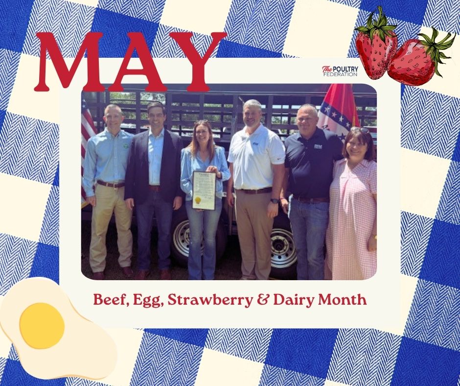 ThePoultryFed's tweet photo. Great day celebrating Arkansas agriculture! Thank you to Sarah Huckabee Sanders for joining us to recognize Beef, Egg, Strawberry &amp; Dairy Month in Arkansas. Thanks Cal-Maine Foods for eggs &amp; cooking and Arkansas Department of Agriculture for hosting! https://t.co/T6VbtejIKi