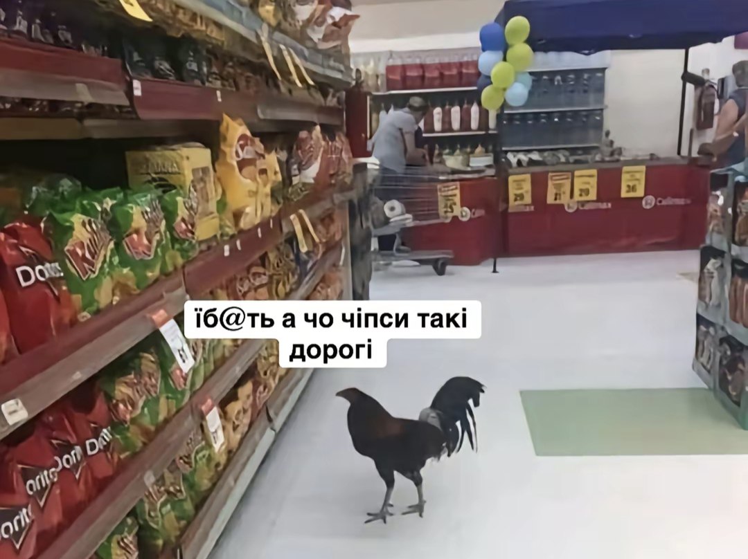 Viktor Hnativ tweet media