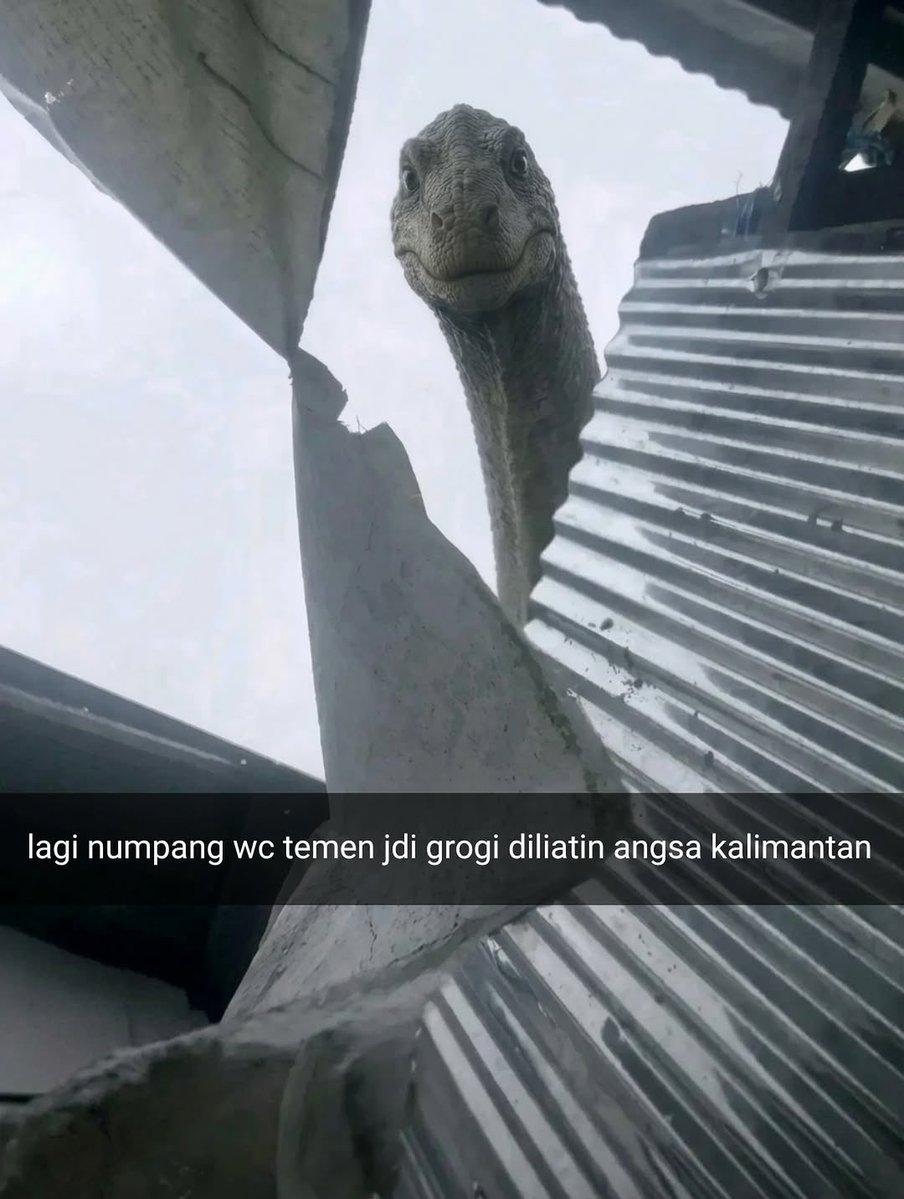 sosmed keras tweet media