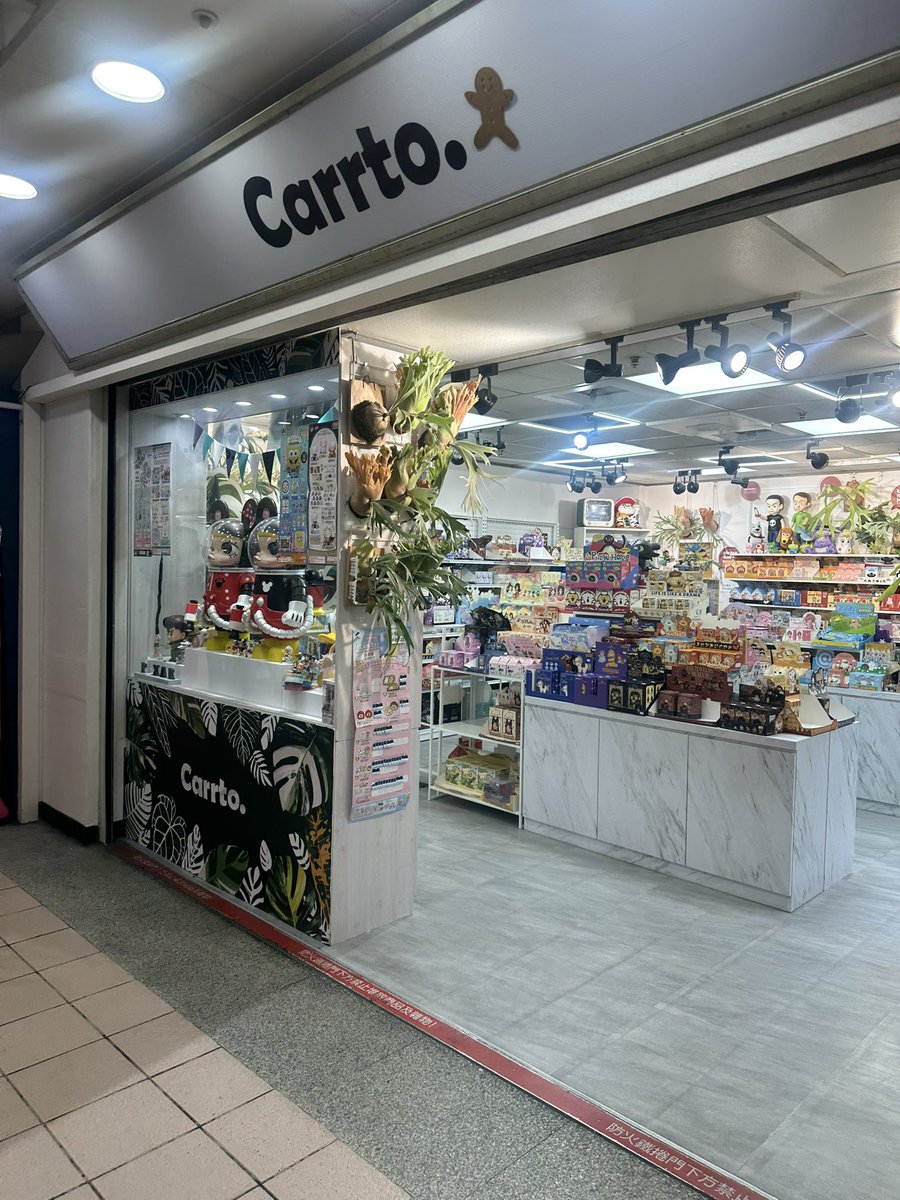 ROSSO PLANTS 【ビカクシダ専門店】 tweet media