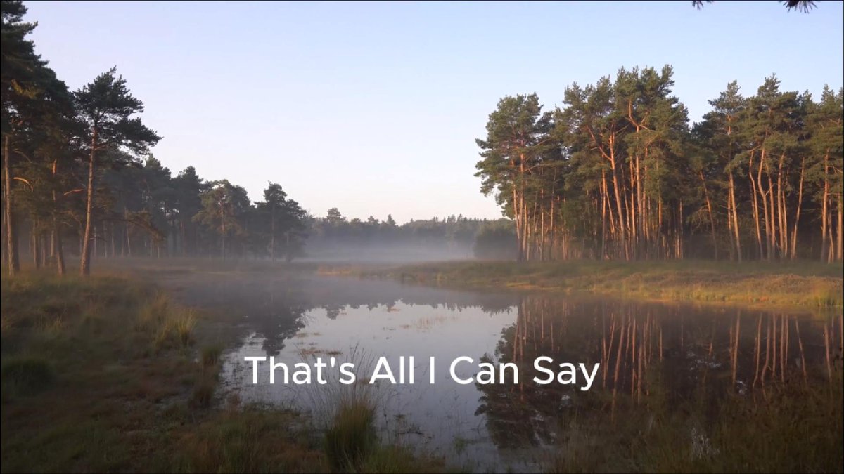 jgerst's tweet photo. Part of the Rising Through series, this reflective piece explores gratitude beyond words, focusing on breath, strength, and the quiet mercy that carries us forward. https://t.co/Ly8ocxl4qF https://t.co/iWwhfgDgQ2