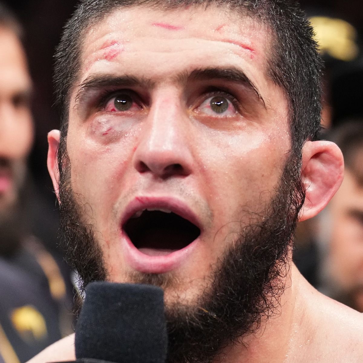 Casual MMA tweet media