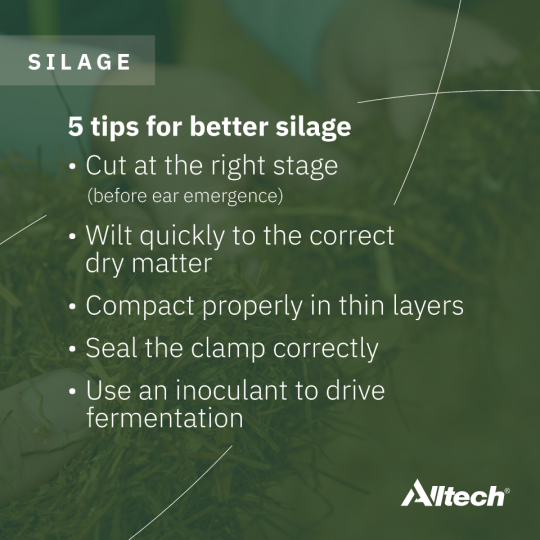 Alltech tweet media