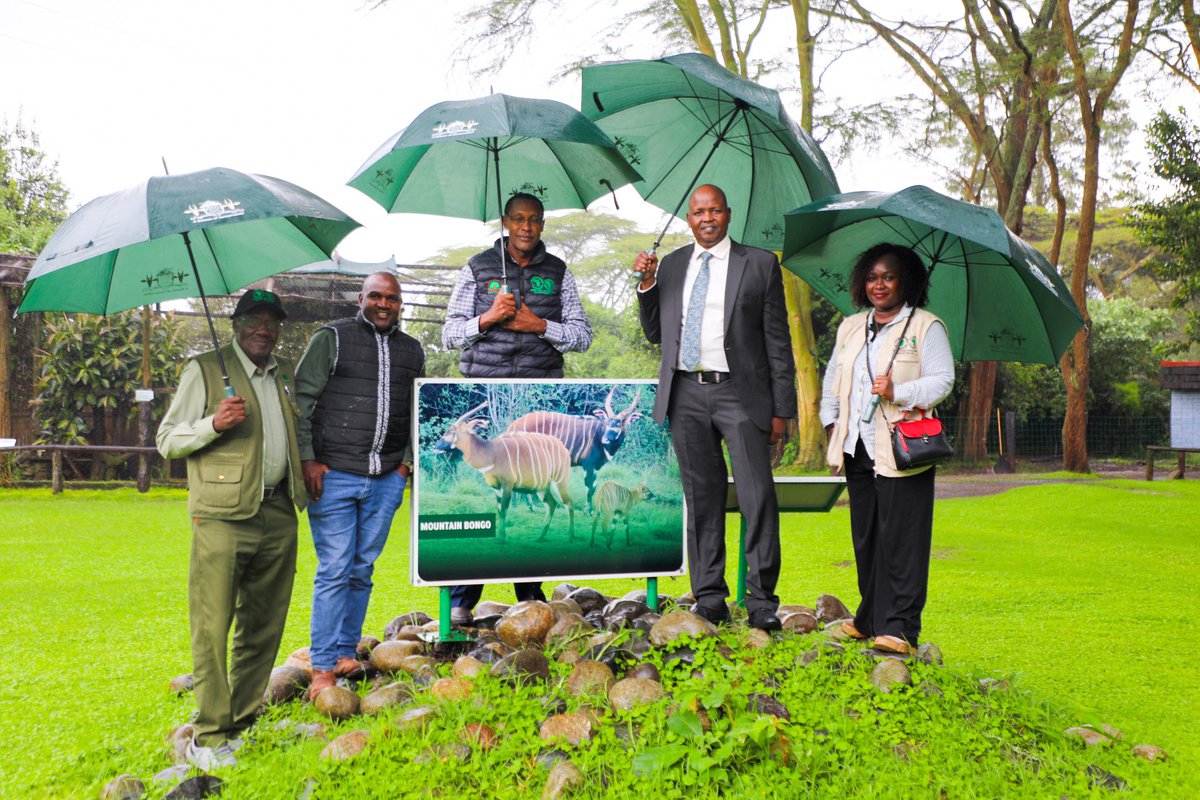 Kenya Forest Service tweet media