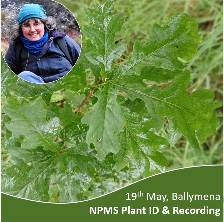 National Plant Monitoring Scheme tweet media