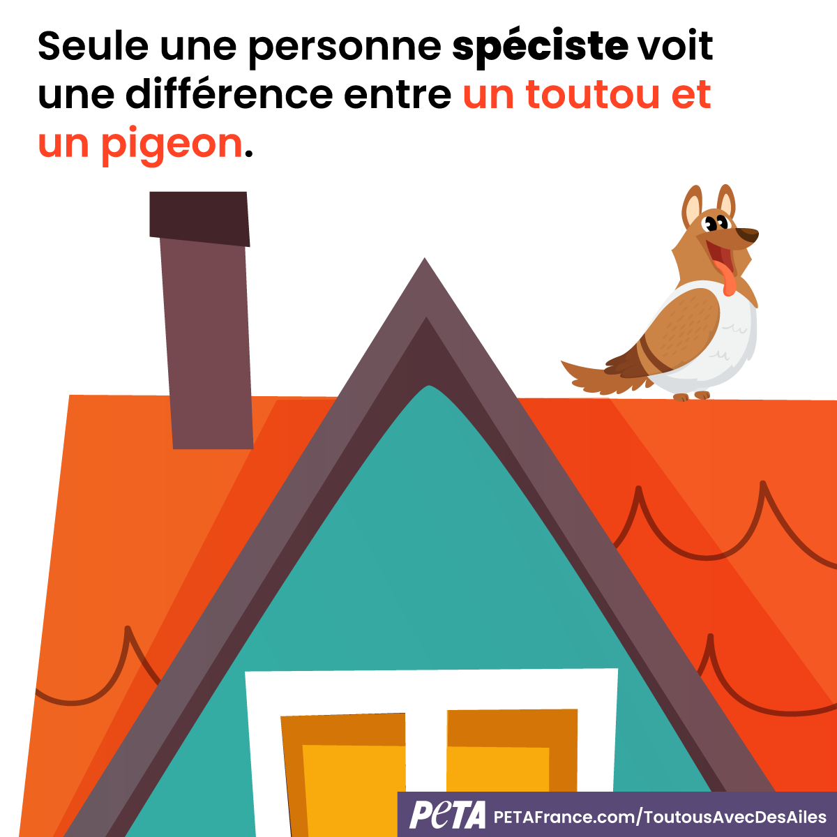 PETA_France's tweet photo. Lorsque tout le monde reconnaîtra les pigeons comme les individus intelligents et sociaux qu’ils sont, ces oiseaux pourront enfin profiter d’une coexistence pacifique avec les humains.

Dites #NonAuSpécisme 🕊️💙 https://t.co/s2pvq5vm97