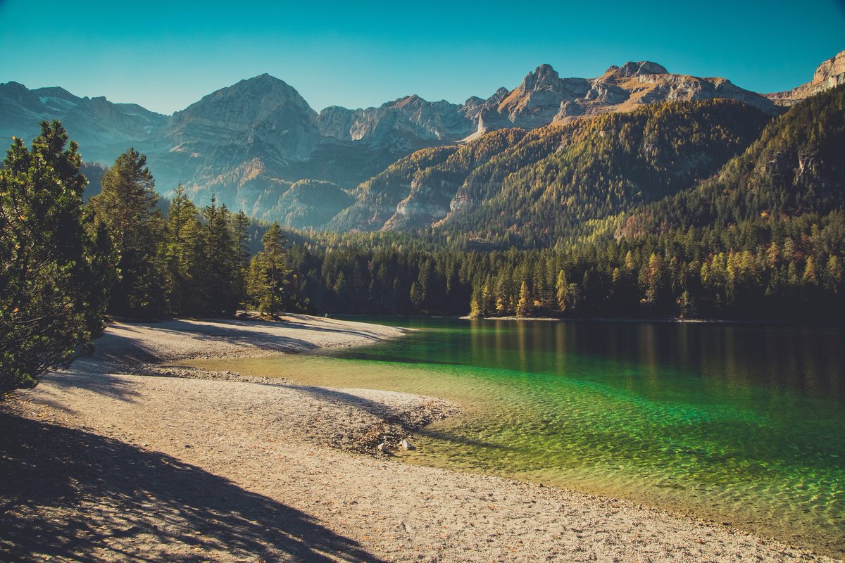 Nature Explore tweet media