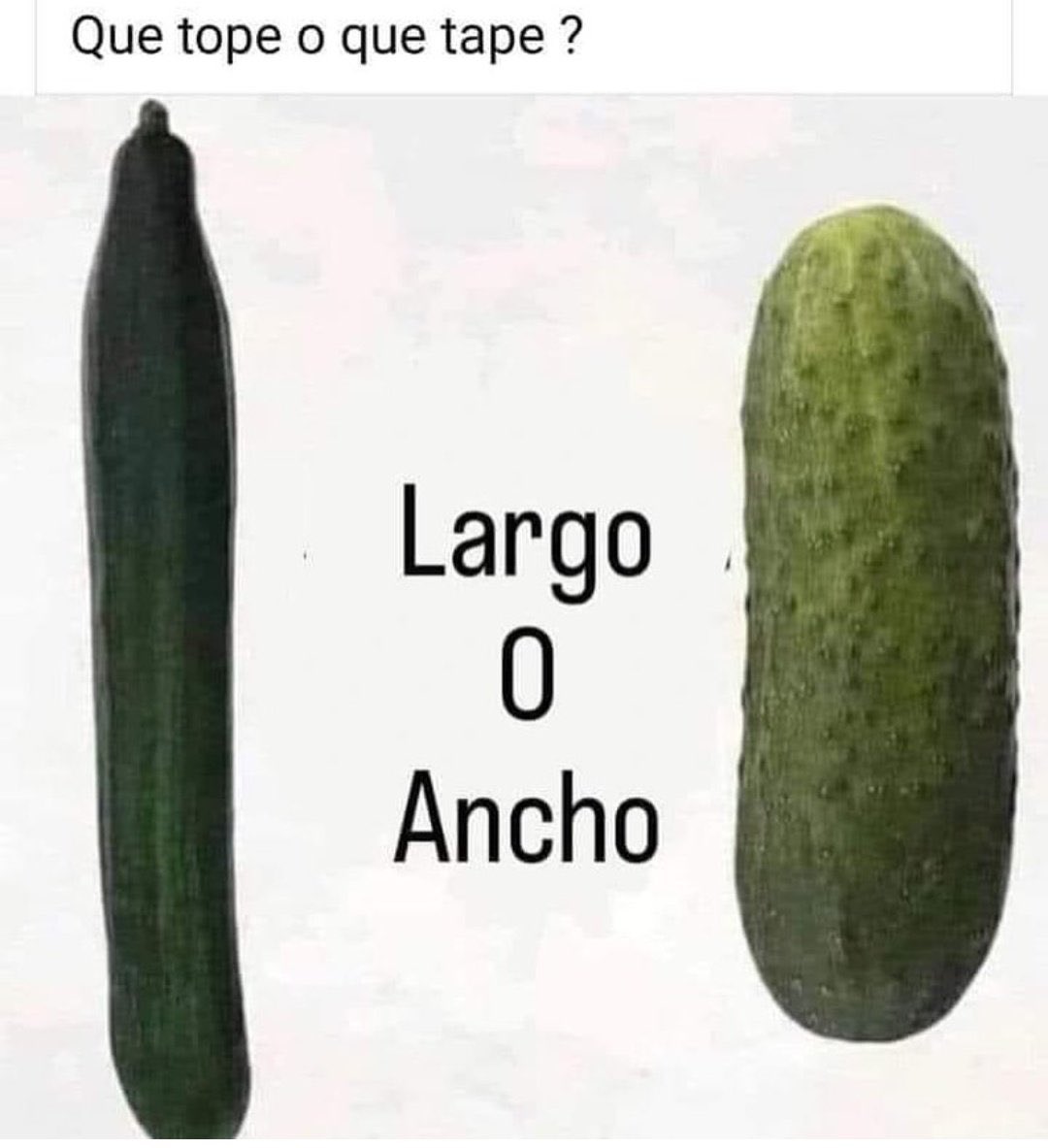 Chaparritos 😈 tweet media