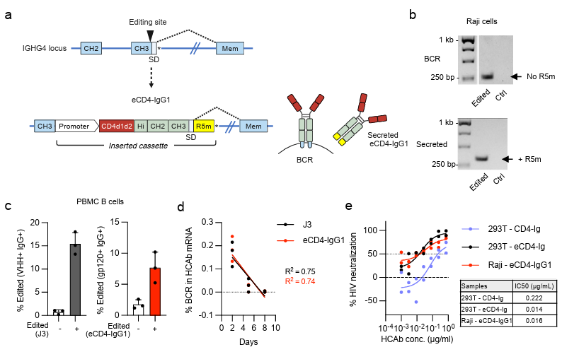 Waggoner Lab tweet media