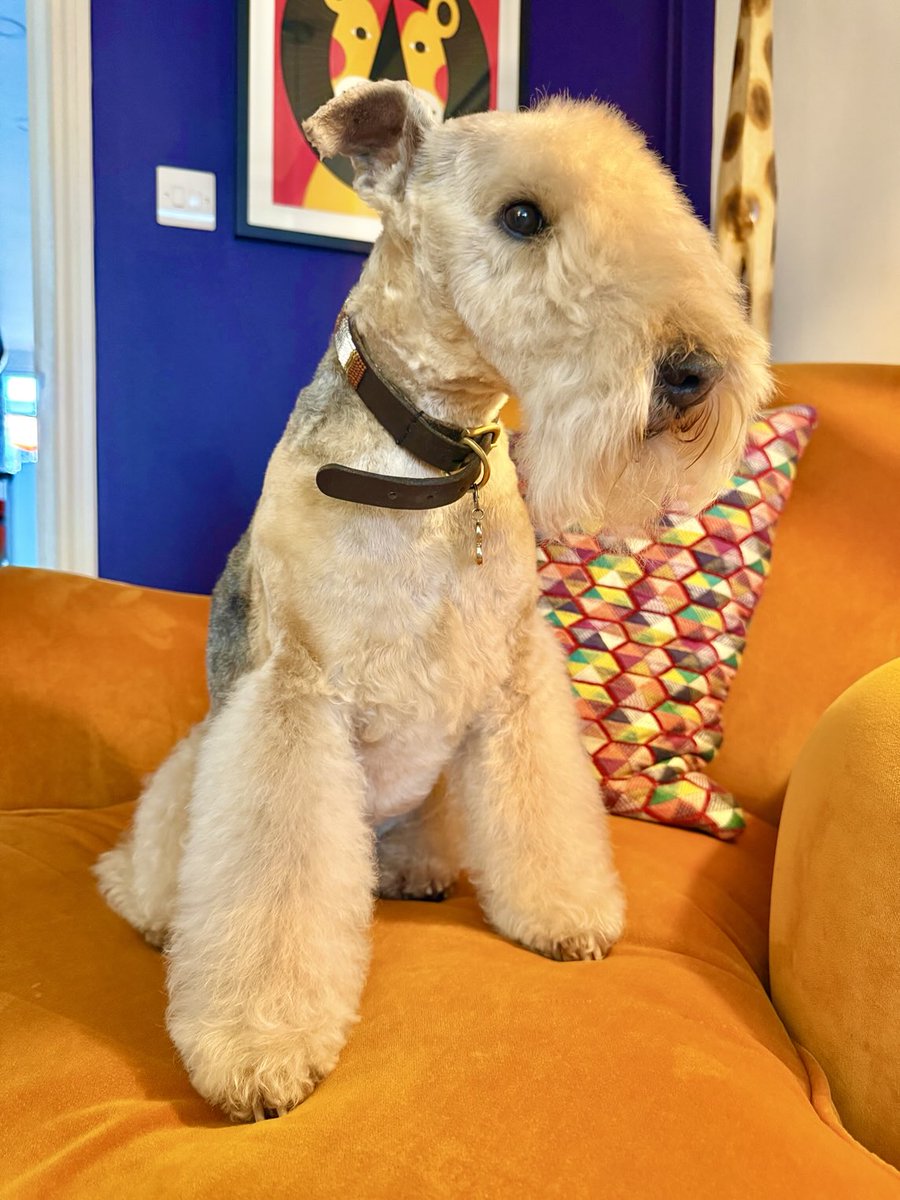 Bertie Lakeland tweet media