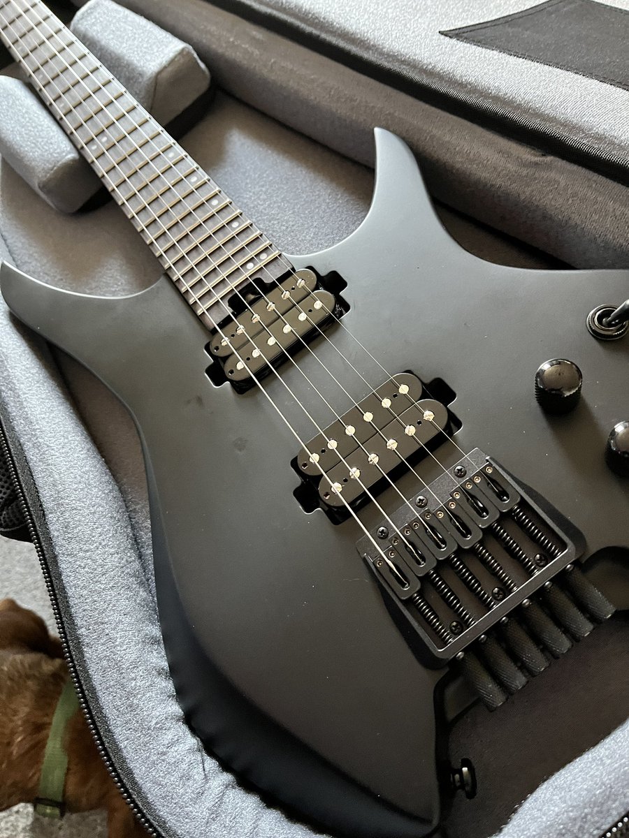 GuitarStuff tweet media
