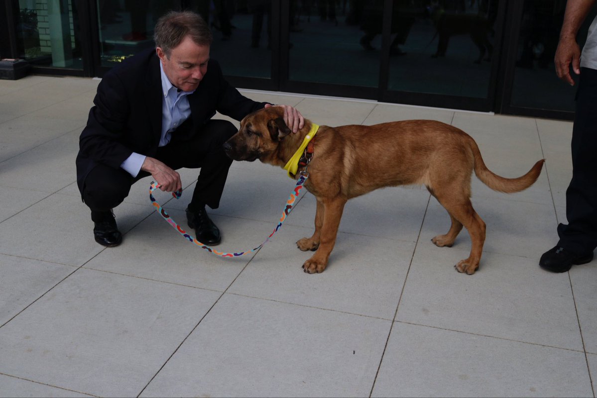 Mayor Joe Hogsett tweet media