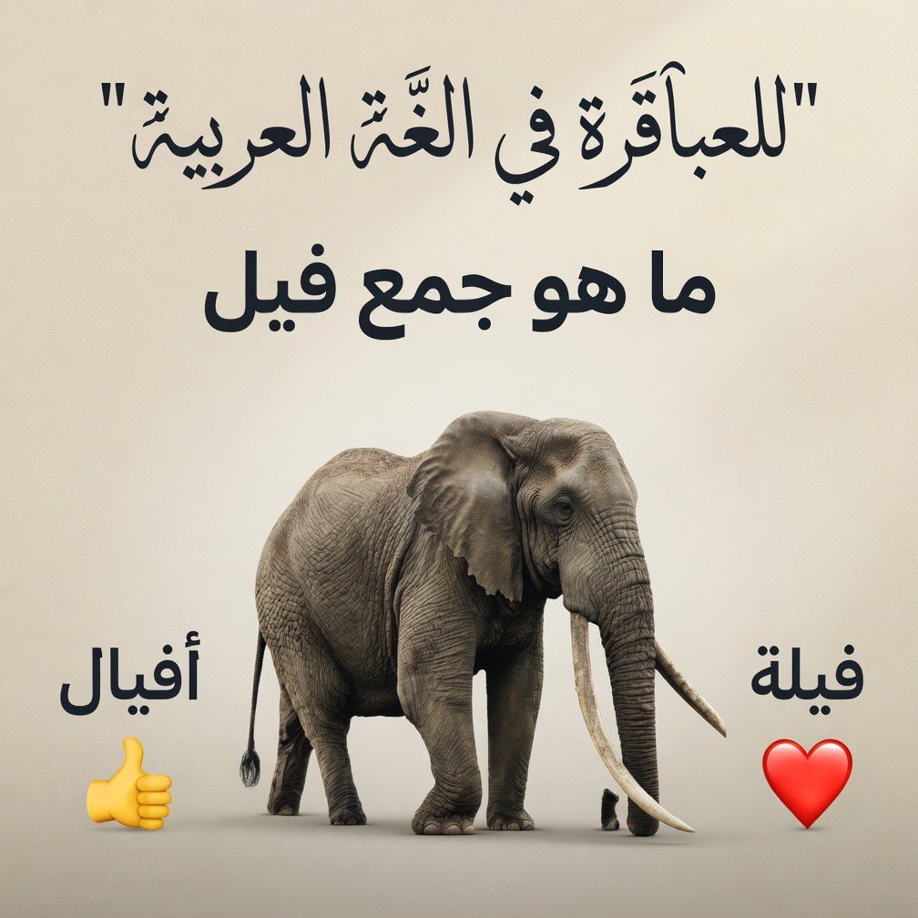 ‏الكايد tweet media