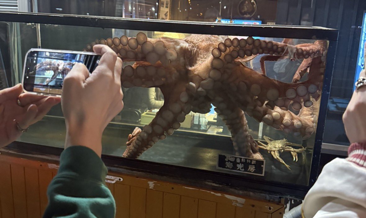 Post by しーちゃん on X: 「食物連鎖」