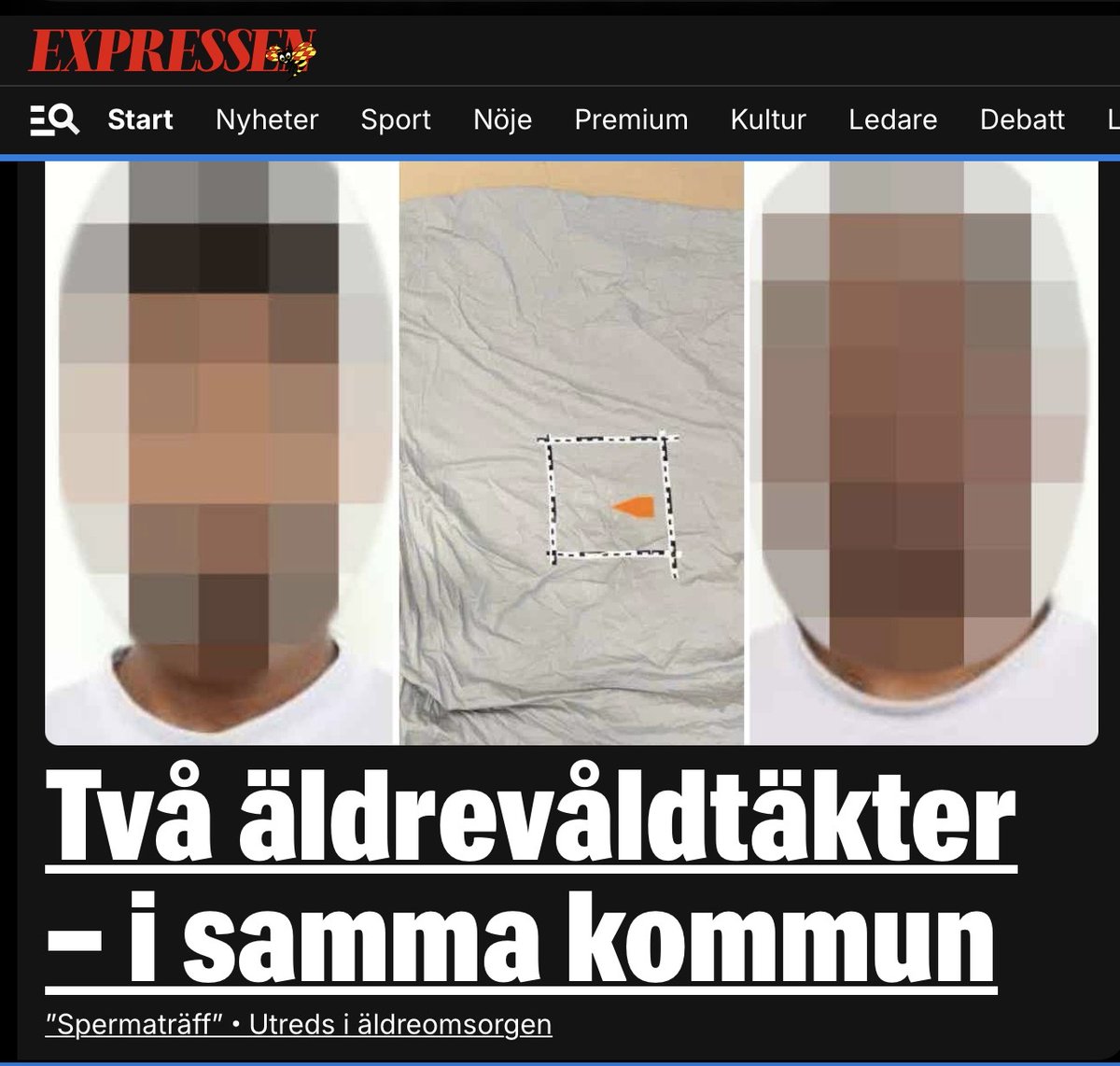 JensGanman tweet media