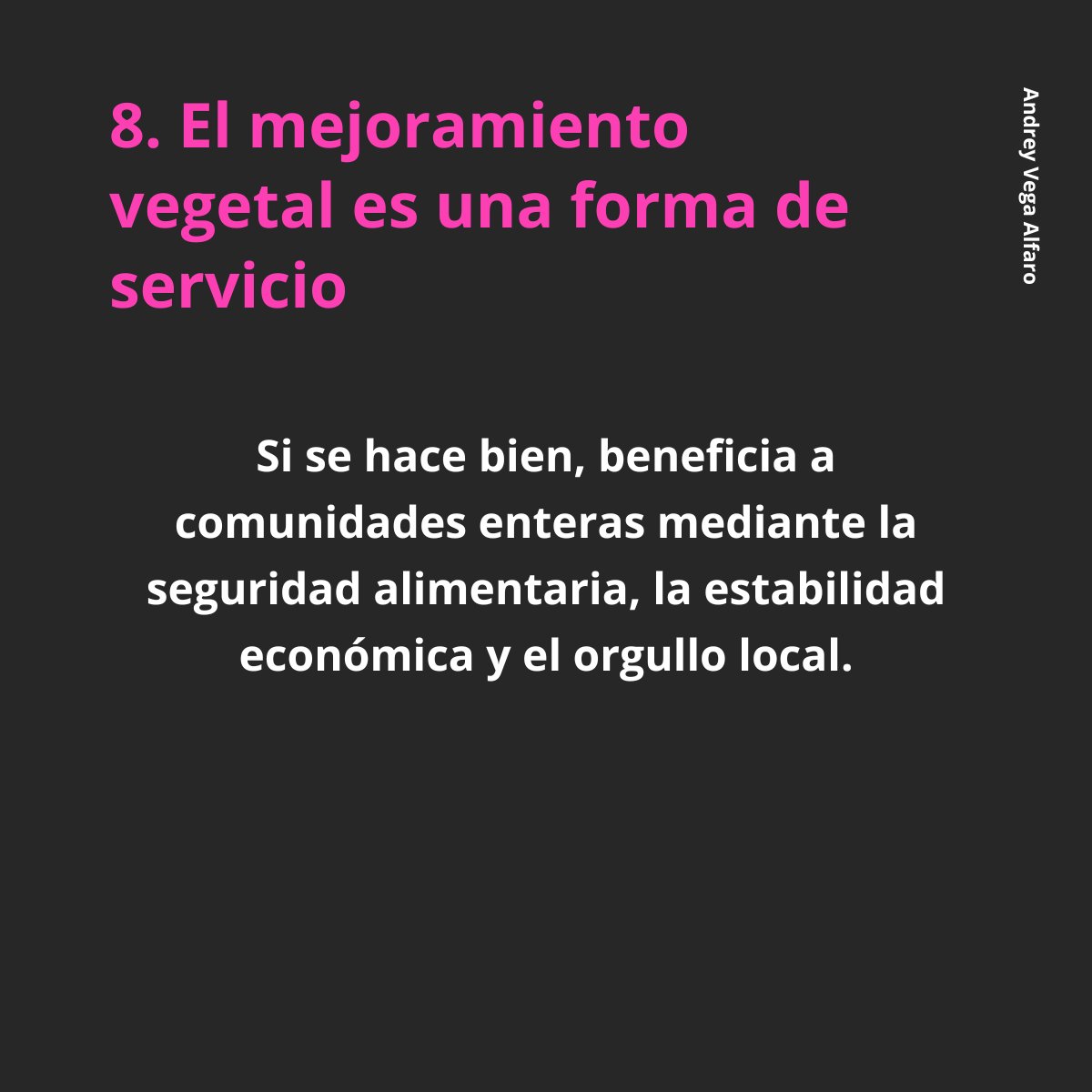 AMSAC Semilleros tweet media