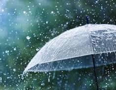 emilyedwards349's tweet photo. This morning I had to pop out. Decided to not take an umbrella as the sky was cloudy but bright.
Guess what - it poured of rain 
We got soaked!!

#raining #springweather #walking https://t.co/jANCJZNt78