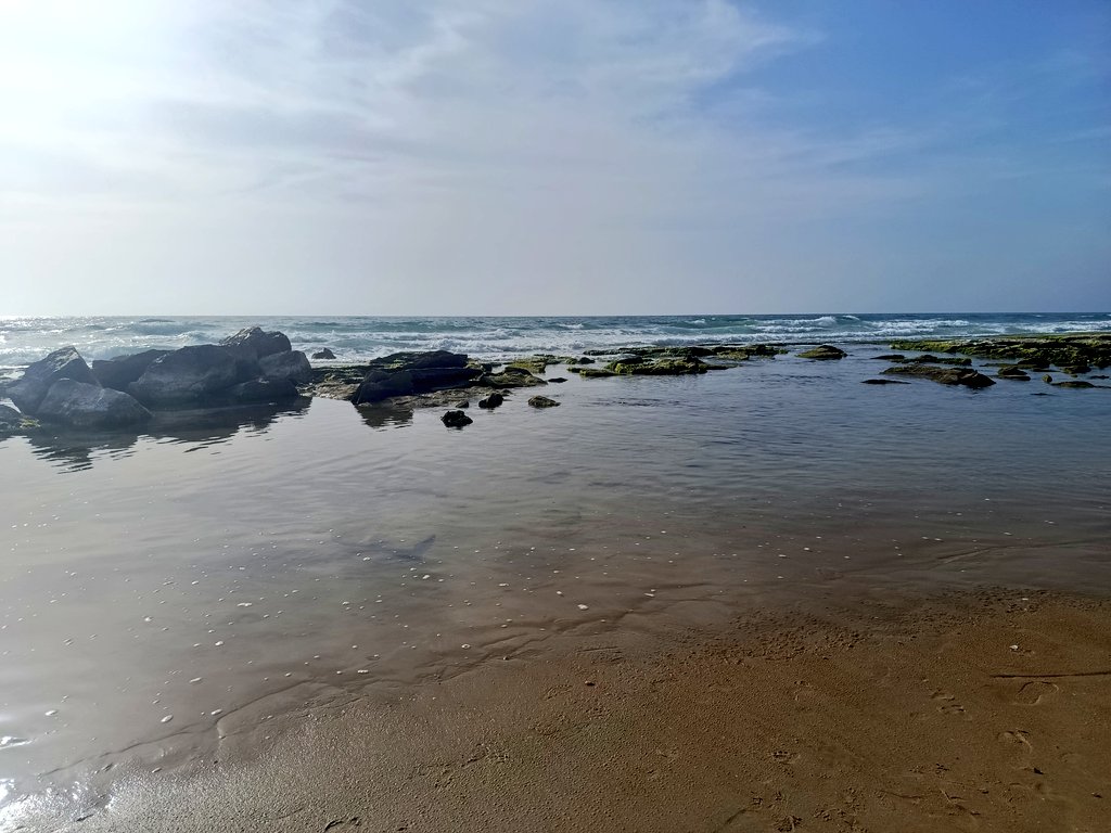 צונאמי (@Tzunami__) / Posts / X