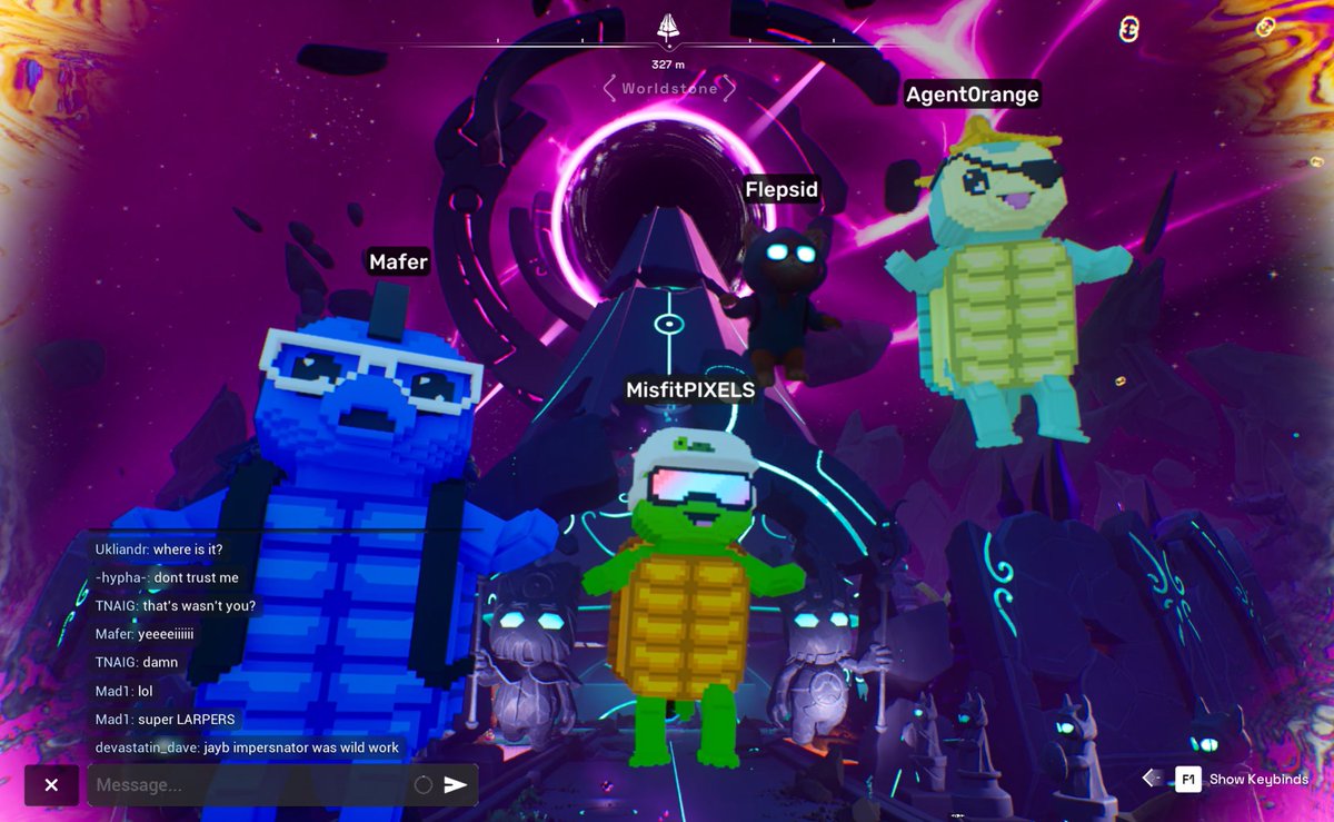 TURTLEZ tweet media