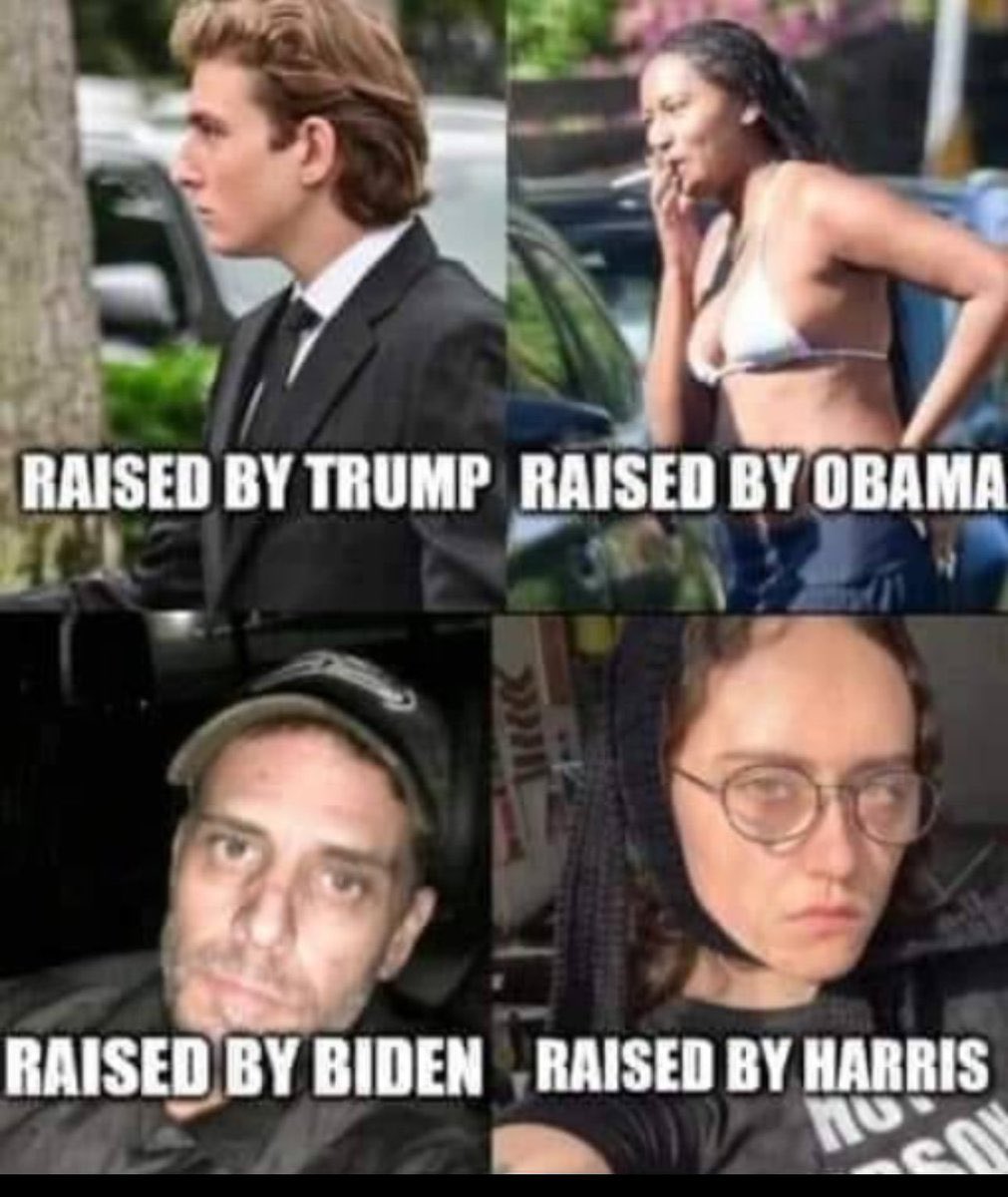 Libtards tweet media