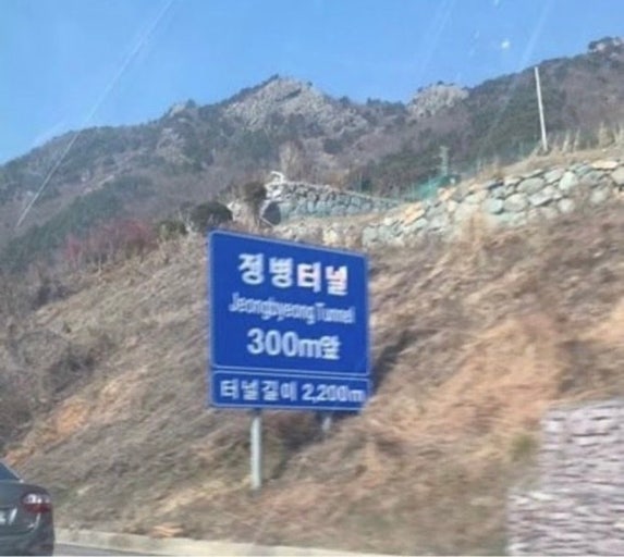 도리 tweet media