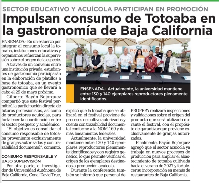 NotiPesca's tweet photo. Impulsan consumo de #Totoaba en la gastronomía de #BajaCalifornia. Se busca consolidar el consumo responsable de totoaba proveniente exclusivamente de granjas autorizadas y con trazabilidad documental. Nota de @ElMexicanOnline https://t.co/NQ3lVtUKD4