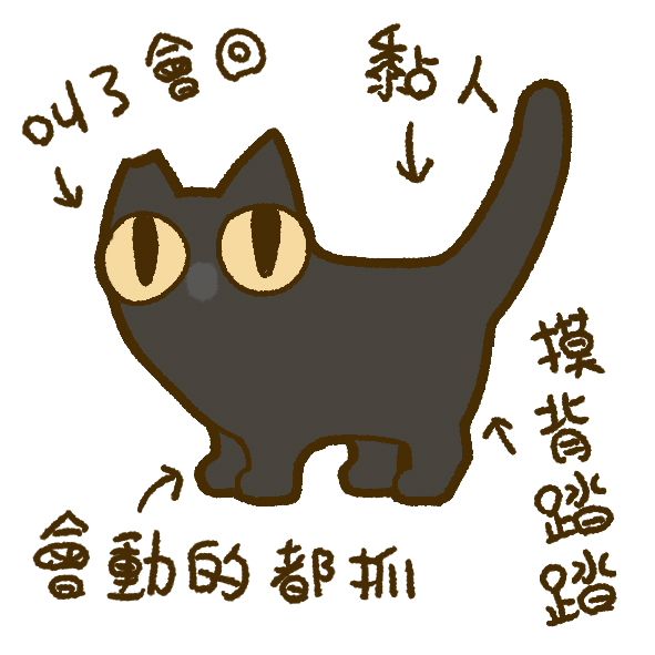 othername_'s tweet photo. 🐱 https://t.co/hs4wYRZt9s