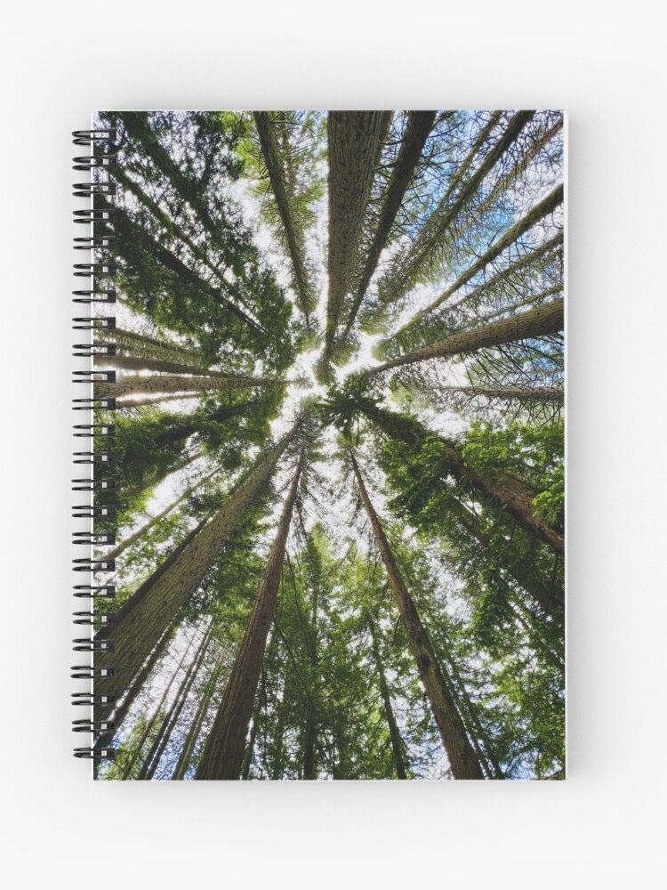 erinmdorffette's tweet photo. #SALE OF up to 40% off this image to #reflect on our place in the world and enjoy #nature. The #perspective of looking up under #redwoods shows you how small we are in the #world
#justlookup #trees #wallart #homedecor #merch #artoftheday
https://t.co/N5l0BKFD5y https://t.co/y1oB1bMbeJ
