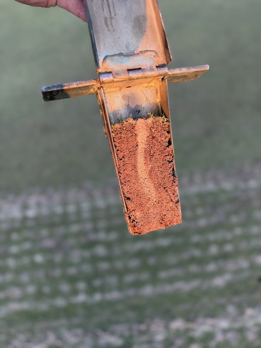 ECoastTurf's tweet photo. DryJect 3”x3” keeping these 30+ year old greens looking and feeling young. https://t.co/d66ZmfWB6i