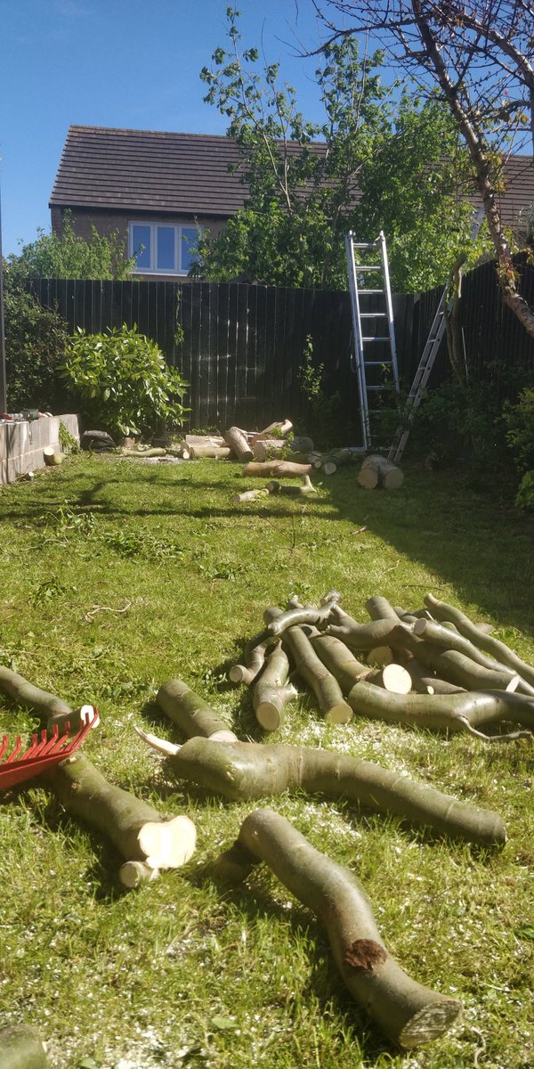 Tidy_Trees's tweet photo. Willow fell in Ruddington, behind was a walk way, a path and another fence, another fence for next door and a wooden pergola.the biggest windy gusts ive felt for ages, branches too spindly to climb it was a job and a half. We managed to get it done without any damage whatsoever😁 https://t.co/cOVHa8dum0