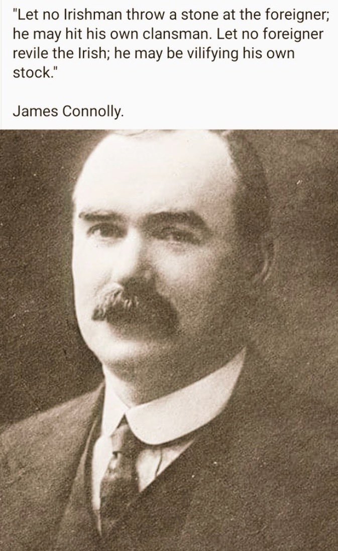 tomás 🇮🇪🇵🇸 tweet media