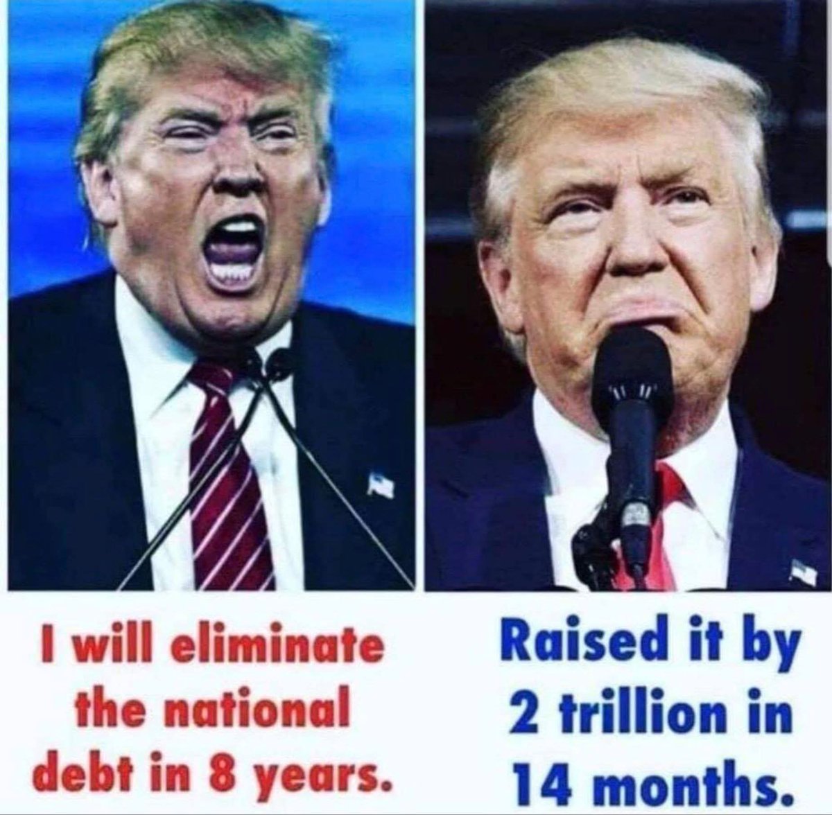 Alexis * FDT💙🇺🇸 🌻🌊 tweet media
