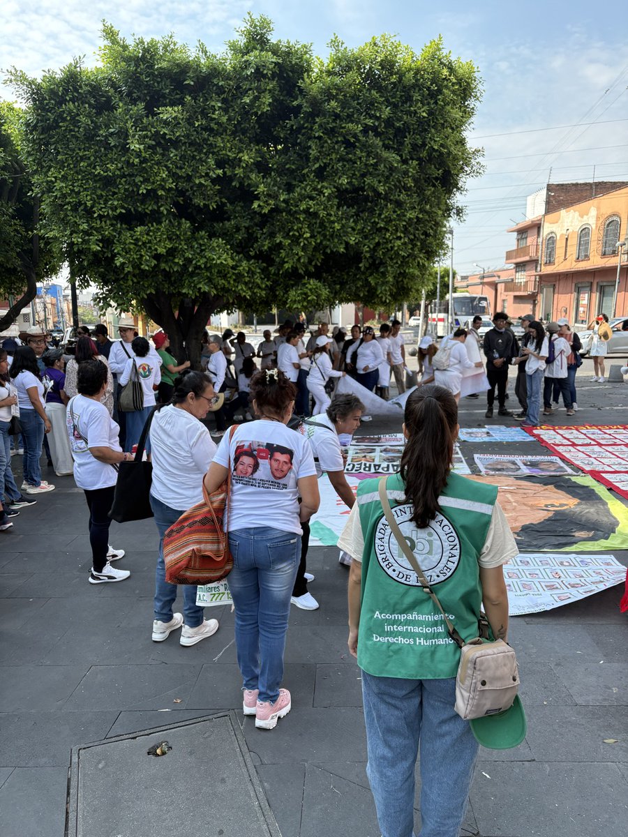 Peace Brigades International-México tweet media