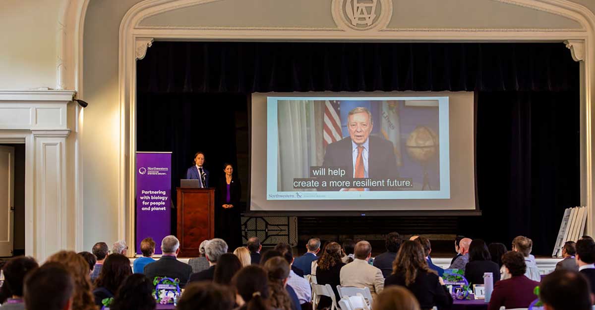 Northwestern CSB tweet media