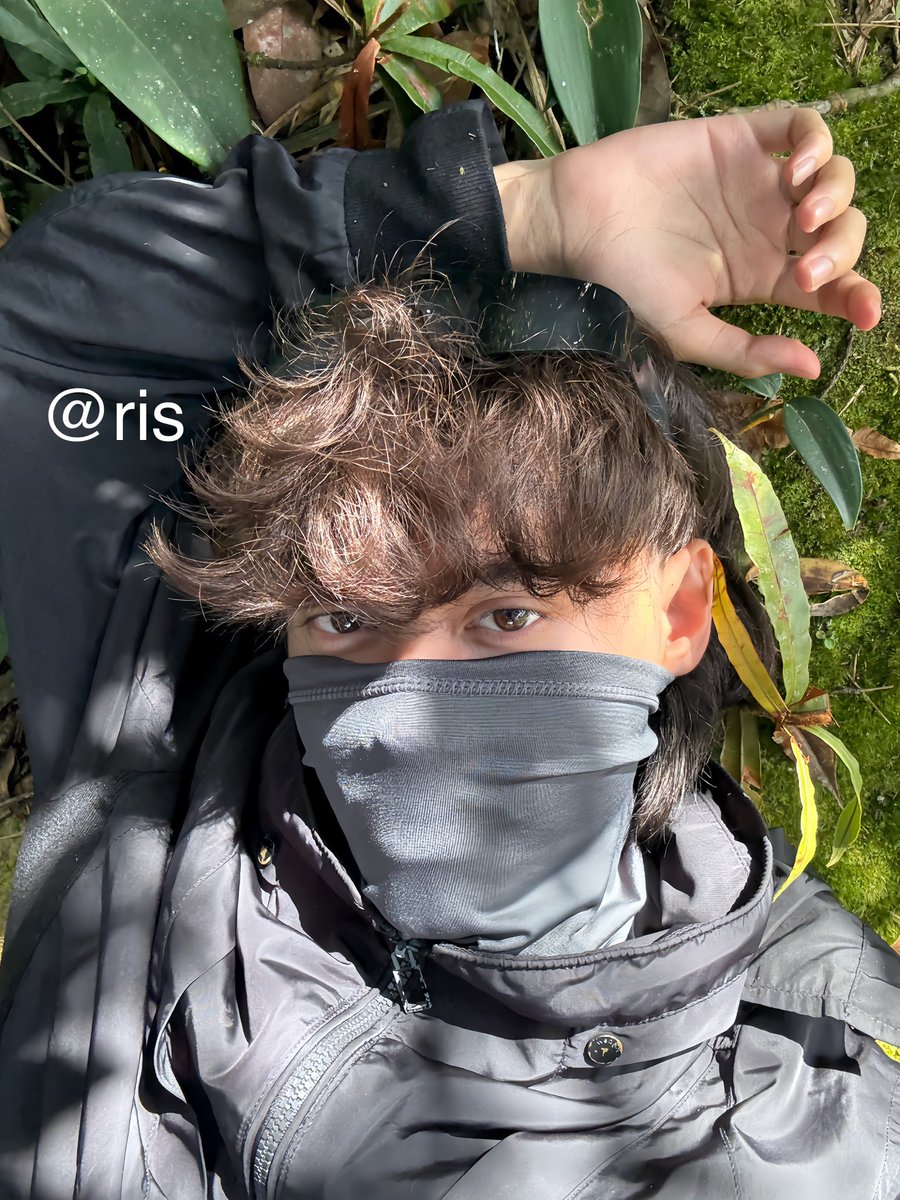 ris tweet media