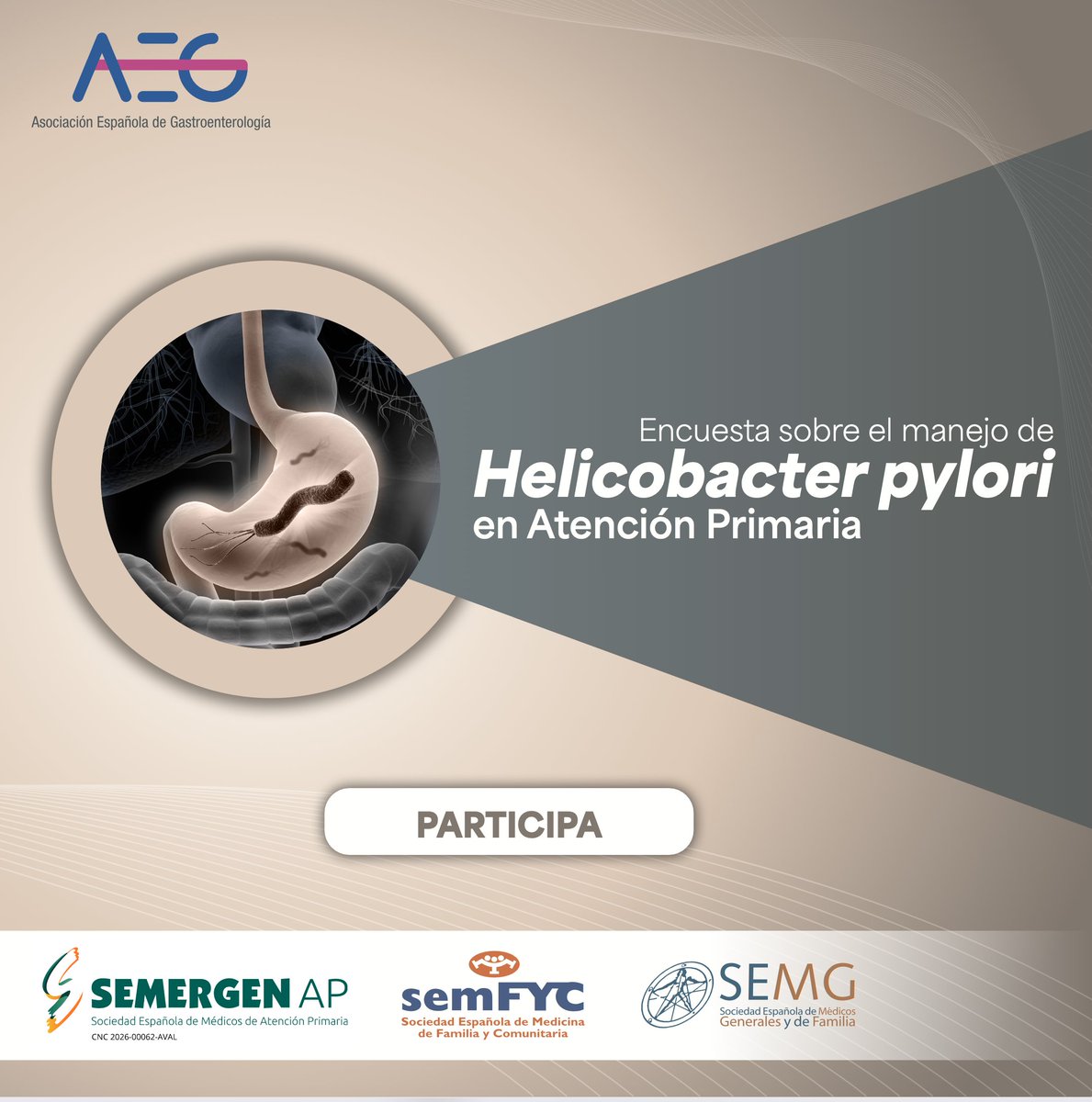 SEMERGENap's tweet photo. 🩺La infección por #Helicobacterpylori es la más frecuente del planeta y constituye la causa principal de patologías tan relevantes como la gastritis crónica, la úlcera péptica y el cáncer gástrico.
✏️Te invitamos a participar en una breve encuesta (≈10 minutos) sobre el manejo de H. pylori en Atención Primaria cuyo objetivo es única y exclusivamente conocer la situación actual del manejo de la infección por H. pylori en nuestro país. 
🔸Los resultados serán publicados en un artículo científico y se compararan con los obtenidos previamente en 2019.
👉Accede aquí: https://t.co/8lLnLh9F87
Iniciativa de @aegastro en colaboración con @SEMERGENap SEMFYC @SEMG_ES @gastroprimaria